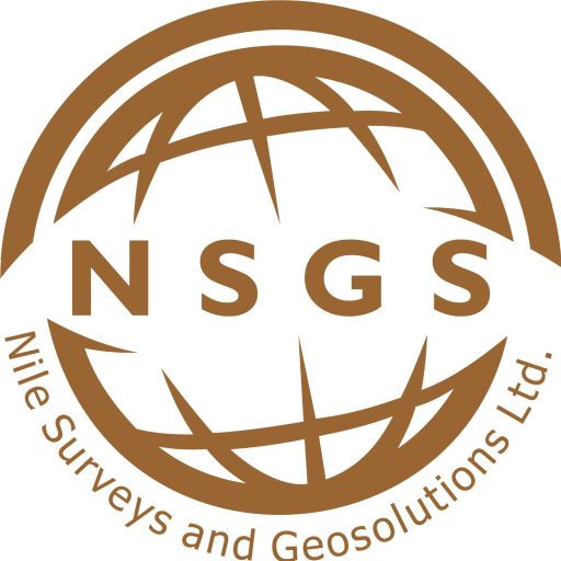 Nile Surveys & Geo-Solutions logo