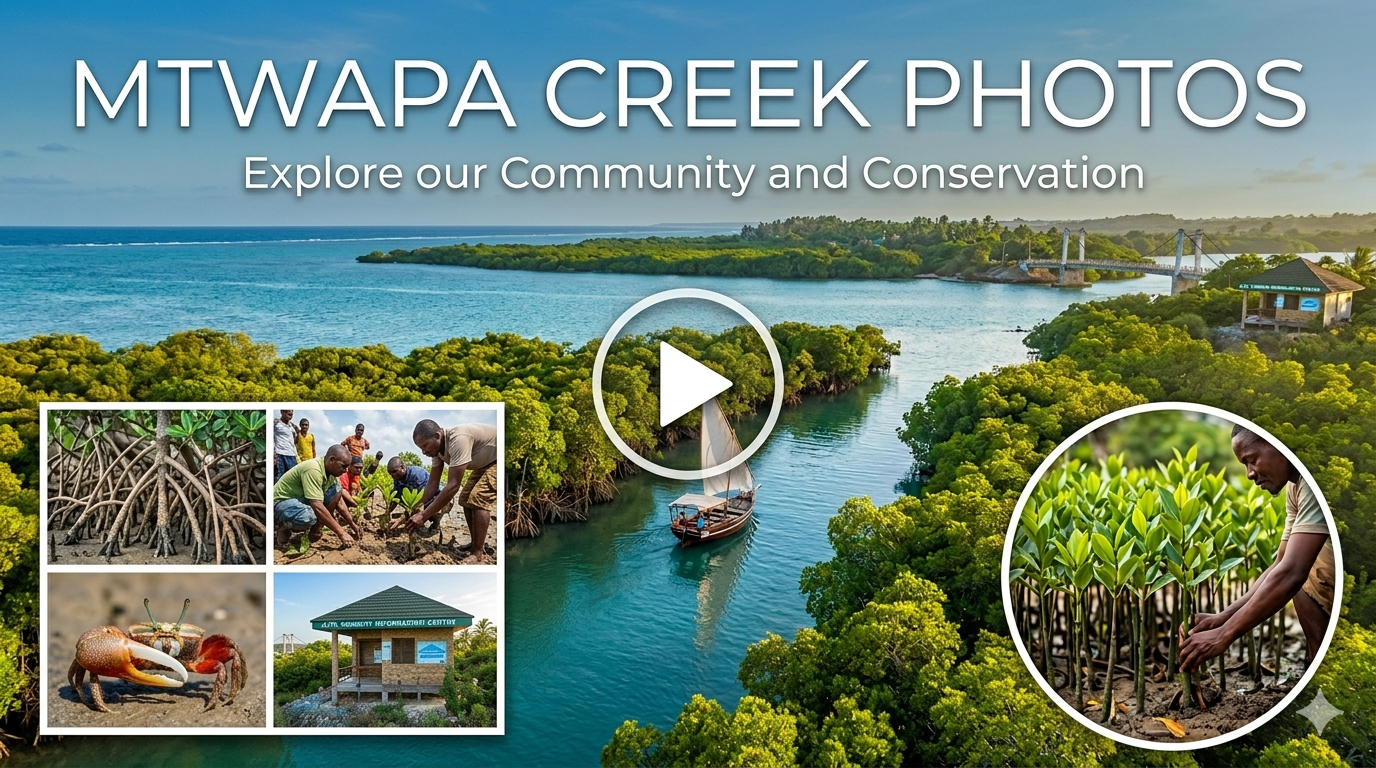 Mtwapa Creek Photos